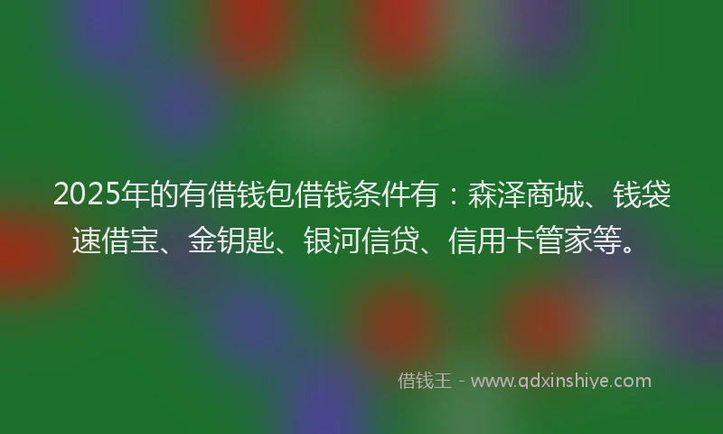2025年的有借钱包借钱条件有：森泽商城、钱袋速借宝、金钥匙、银河信贷、信用卡管家等。