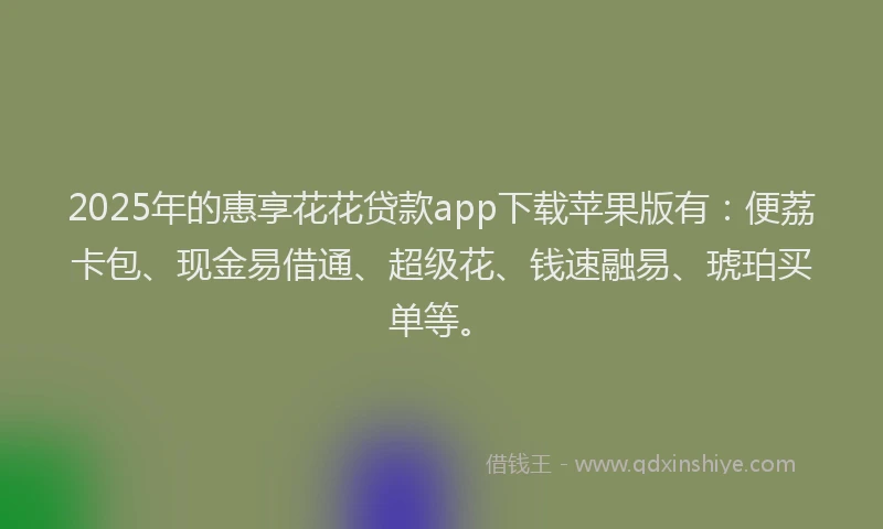 2025年的惠享花花贷款app下载苹果版有：便荔卡包、现金易借通、超级花、钱速融易、琥珀买单等。