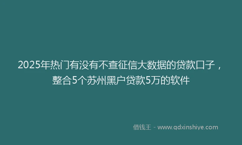 2025年热门有没有不查征信大数据的贷款口子，整合5个苏州黑户贷款5万的软件