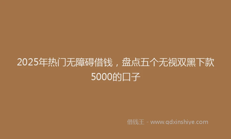 2025年热门无障碍借钱，盘点五个无视双黑下款5000的口子