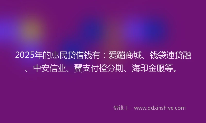 2025年的惠民贷借钱有：爱蹦商城、钱袋速贷融、中安信业、翼支付橙分期、海印金服等。