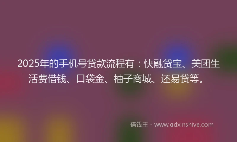 2025年的手机号贷款流程有：快融贷宝、美团生活费借钱、口袋金、柚子商城、还易贷等。