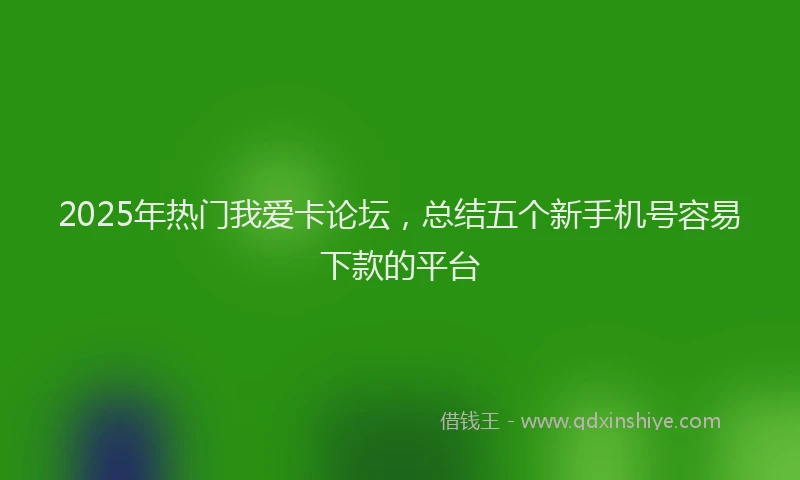 2025年热门我爱卡论坛，总结五个新手机号容易下款的平台