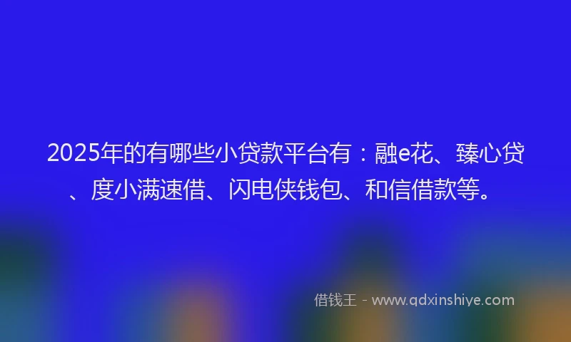 2025年的有哪些小贷款平台有：融e花、臻心贷、度小满速借、闪电侠钱包、和信借款等。
