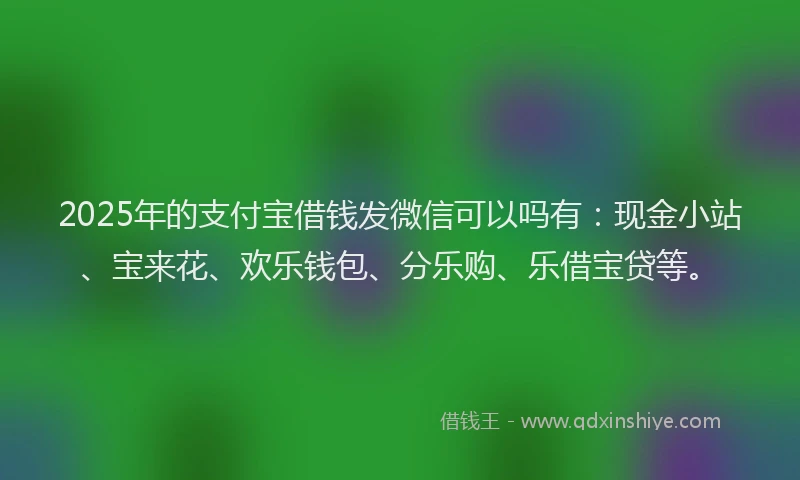 2025年的支付宝借钱发微信可以吗有：现金小站、宝来花、欢乐钱包、分乐购、乐借宝贷等。
