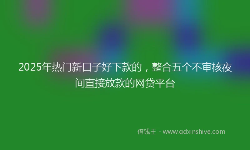 2025年热门新口子好下款的，整合五个不审核夜间直接放款的网贷平台