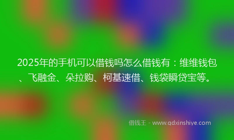 2025年的手机可以借钱吗怎么借钱有：维维钱包、飞融金、朵拉购、柯基速借、钱袋瞬贷宝等。