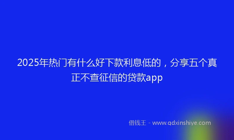 2025年热门有什么好下款利息低的，分享五个真正不查征信的贷款app