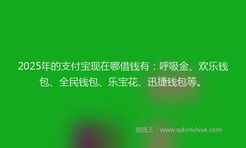 2025年的支付宝现在哪借钱有：呼吸金、欢乐钱包、全民钱包、乐宝花、迅捷钱包等。