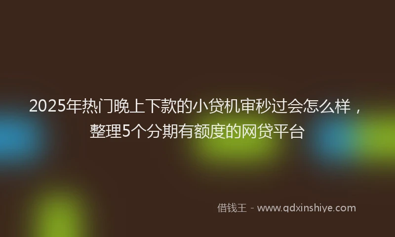 2025年热门晚上下款的小贷机审秒过会怎么样，整理5个分期有额度的网贷平台
