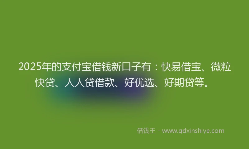 2025年的支付宝借钱新口子有：快易借宝、微粒快贷、人人贷借款、好优选、好期贷等。