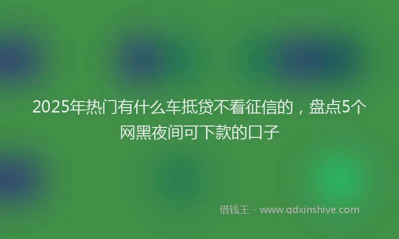 2025年热门有什么车抵贷不看征信的，盘点5个网黑夜间可下款的口子