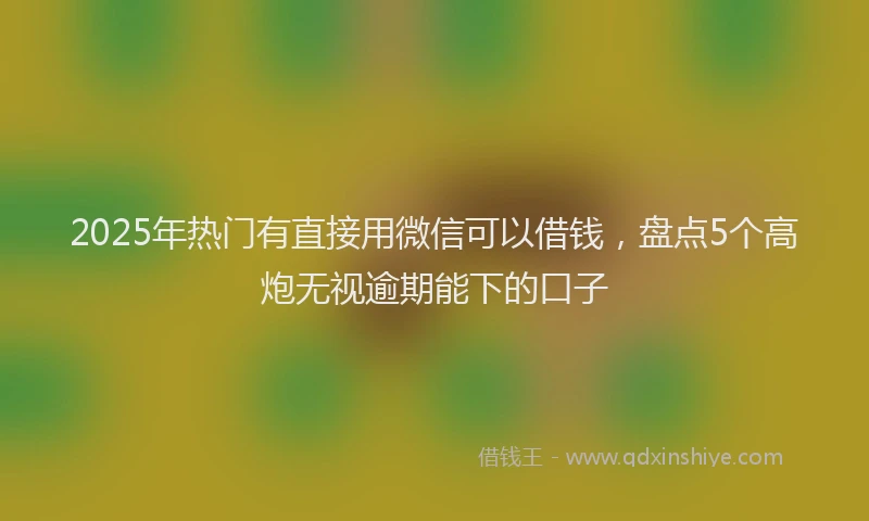 2025年热门有直接用微信可以借钱，盘点5个高炮无视逾期能下的口子