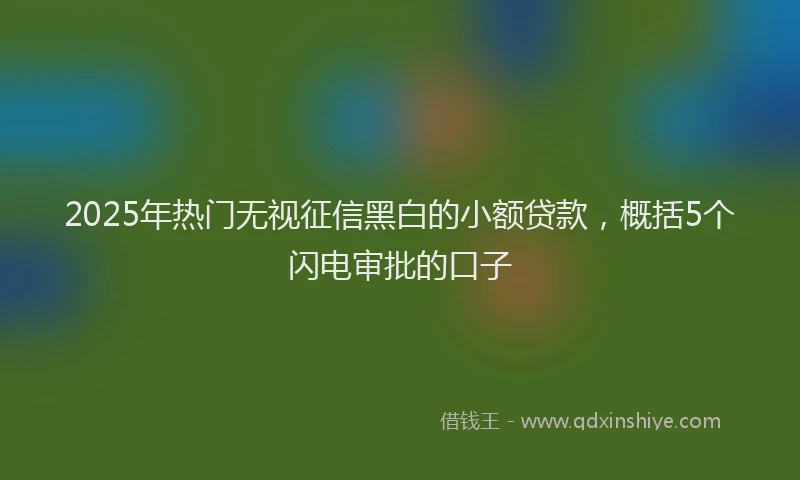 2025年热门无视征信黑白的小额贷款，概括5个闪电审批的口子