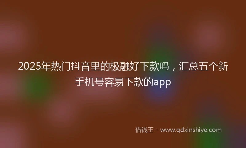2025年热门抖音里的极融好下款吗，汇总五个新手机号容易下款的app