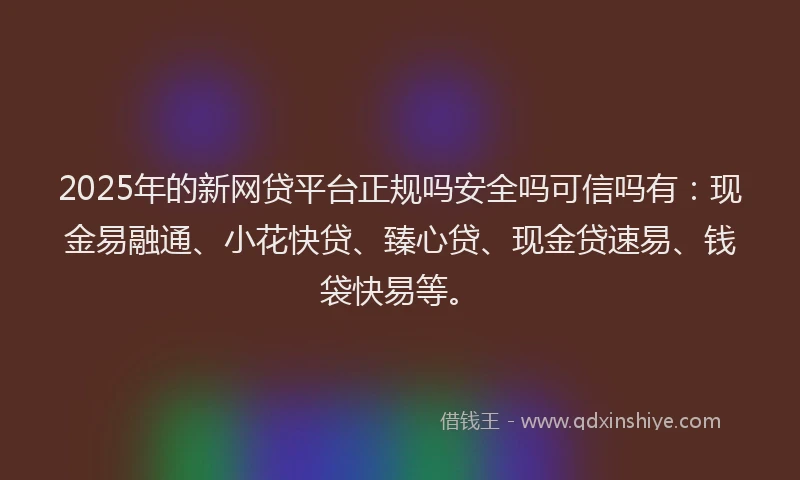 2025年的新网贷平台正规吗安全吗可信吗有：现金易融通、小花快贷、臻心贷、现金贷速易、钱袋快易等。