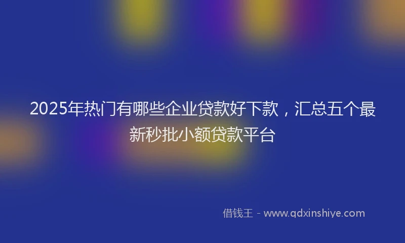 2025年热门有哪些企业贷款好下款，汇总五个最新秒批小额贷款平台