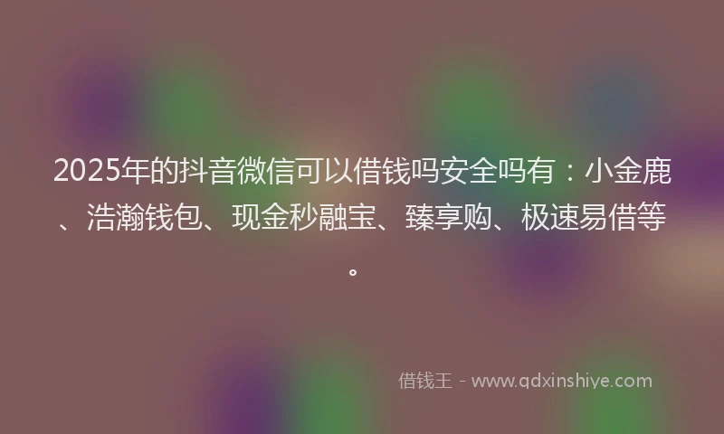 2025年的抖音微信可以借钱吗安全吗有：小金鹿、浩瀚钱包、现金秒融宝、臻享购、极速易借等。