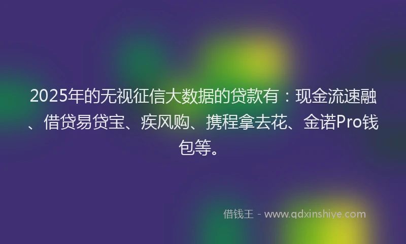 2025年的无视征信大数据的贷款有：现金流速融、借贷易贷宝、疾风购、携程拿去花、金诺Pro钱包等。