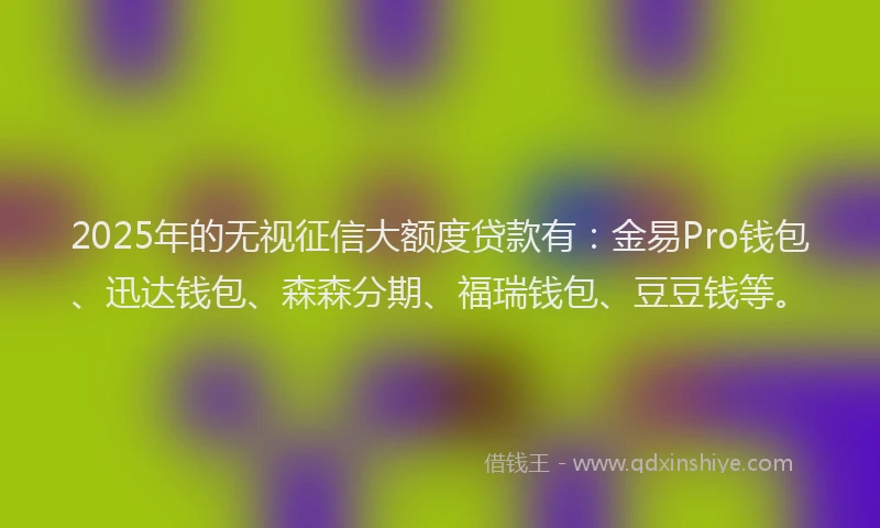 2025年的无视征信大额度贷款有：金易Pro钱包、迅达钱包、森森分期、福瑞钱包、豆豆钱等。
