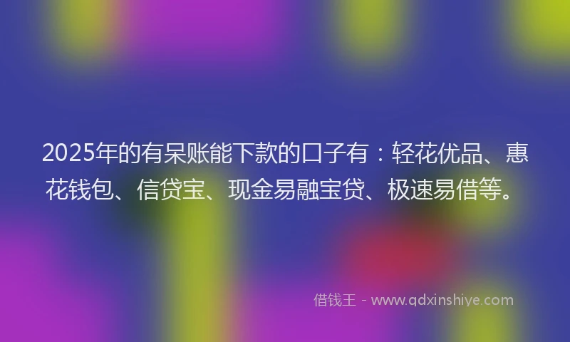 2025年的有呆账能下款的口子有：轻花优品、惠花钱包、信贷宝、现金易融宝贷、极速易借等。