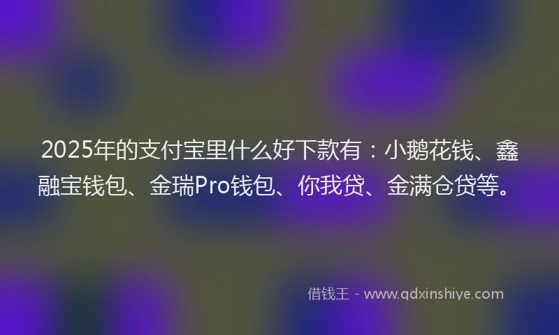 2025年的支付宝里什么好下款有：小鹅花钱、鑫融宝钱包、金瑞Pro钱包、你我贷、金满仓贷等。