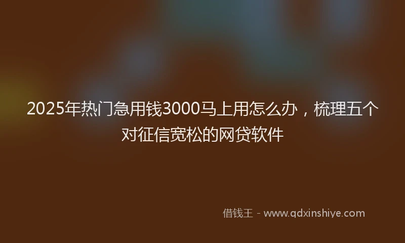 2025年热门急用钱3000马上用怎么办，梳理五个对征信宽松的网贷软件