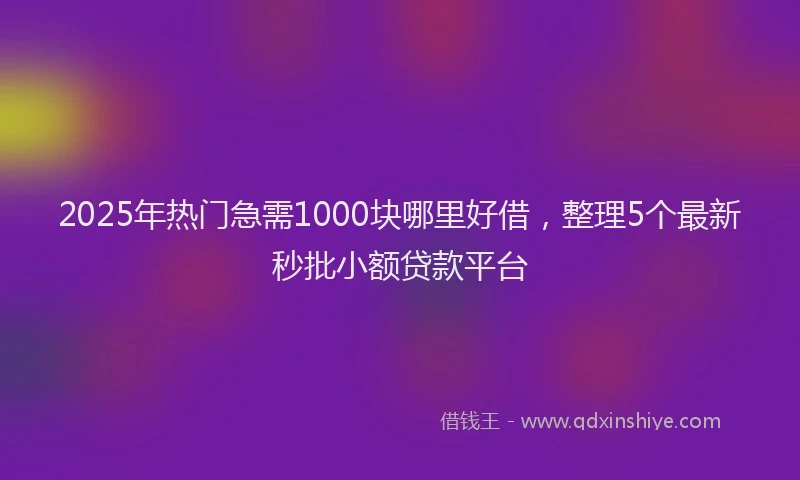 2025年热门急需1000块哪里好借，整理5个最新秒批小额贷款平台