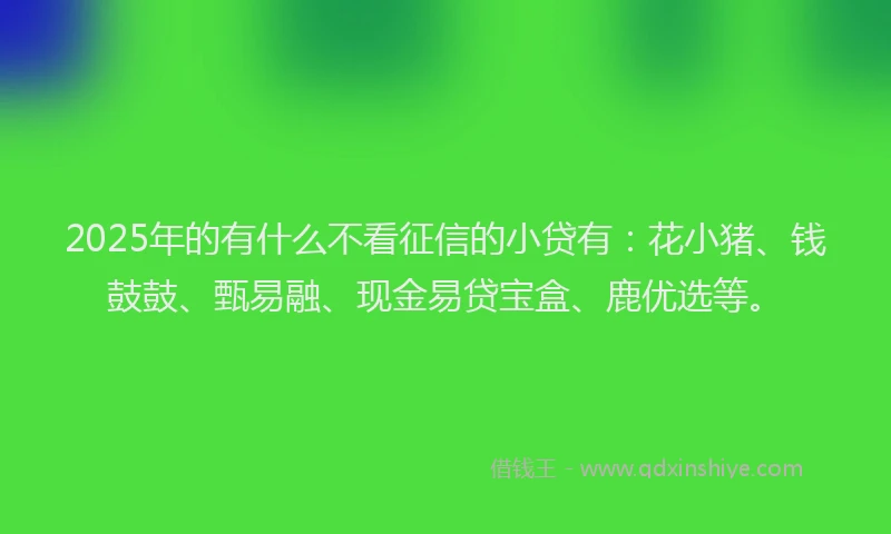 2025年的有什么不看征信的小贷有：花小猪、钱鼓鼓、甄易融、现金易贷宝盒、鹿优选等。