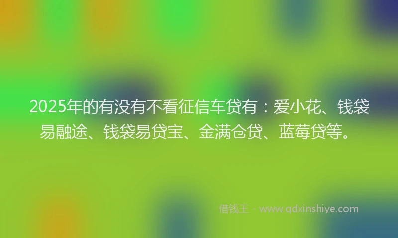2025年的有没有不看征信车贷有：爱小花、钱袋易融途、钱袋易贷宝、金满仓贷、蓝莓贷等。