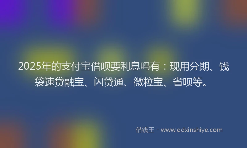 2025年的支付宝借呗要利息吗有：现用分期、钱袋速贷融宝、闪贷通、微粒宝、省呗等。