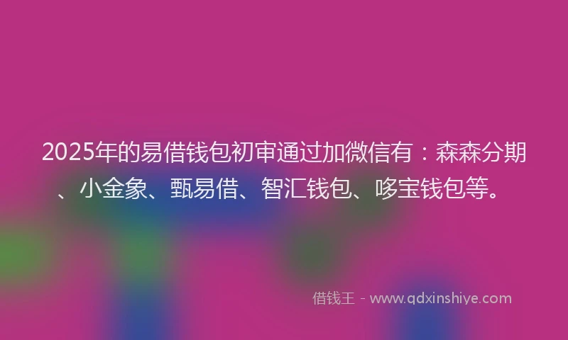 2025年的易借钱包初审通过加微信有：森森分期、小金象、甄易借、智汇钱包、哆宝钱包等。
