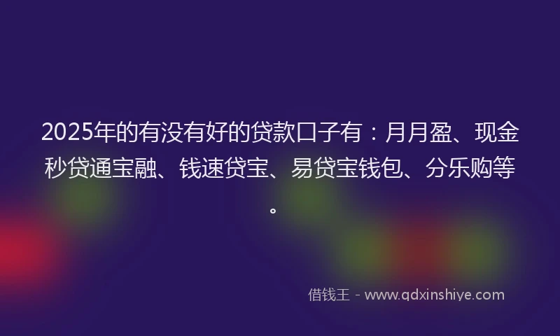 2025年的有没有好的贷款口子有：月月盈、现金秒贷通宝融、钱速贷宝、易贷宝钱包、分乐购等。