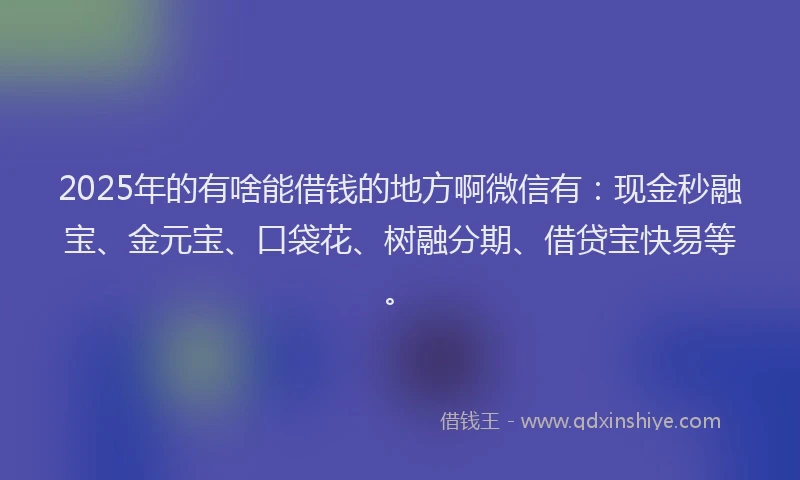 2025年的有啥能借钱的地方啊微信有：现金秒融宝、金元宝、口袋花、树融分期、借贷宝快易等。