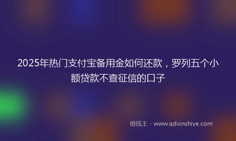 2025年热门支付宝备用金如何还款，罗列五个小额贷款不查征信的口子