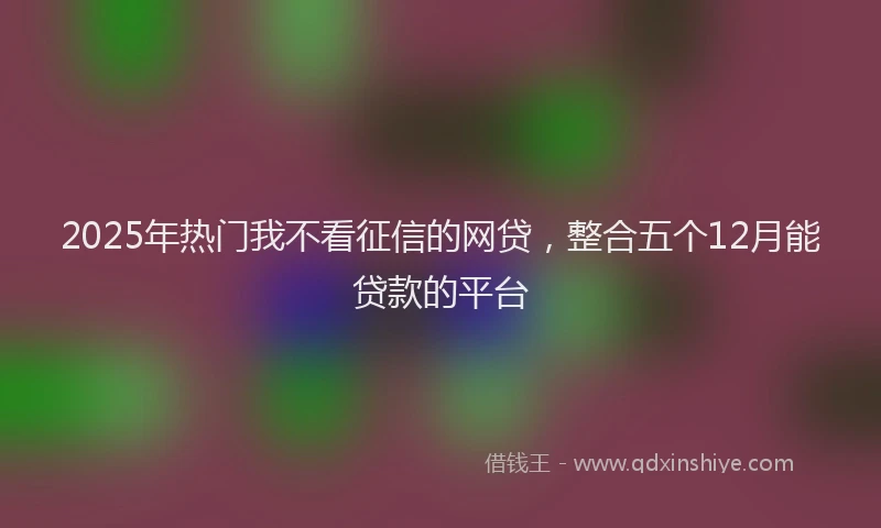 2025年热门我不看征信的网贷，整合五个12月能贷款的平台
