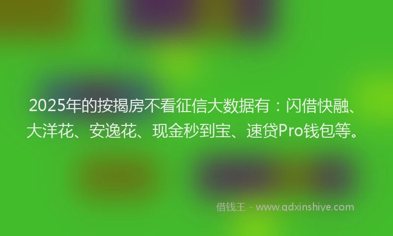 2025年的按揭房不看征信大数据有：闪借快融、大洋花、安逸花、现金秒到宝、速贷Pro钱包等。