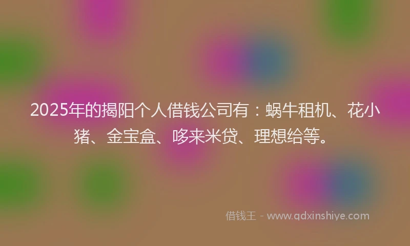 2025年的揭阳个人借钱公司有：蜗牛租机、花小猪、金宝盒、哆来米贷、理想给等。