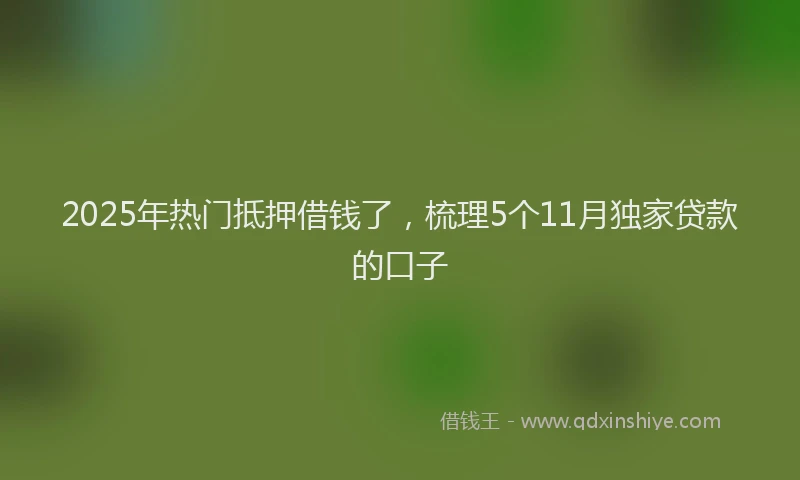 2025年热门抵押借钱了，梳理5个11月独家贷款的口子