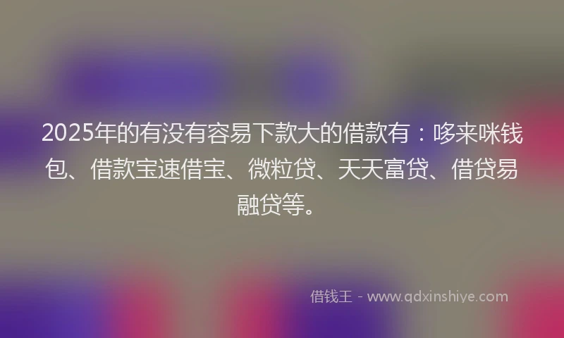 2025年的有没有容易下款大的借款有：哆来咪钱包、借款宝速借宝、微粒贷、天天富贷、借贷易融贷等。