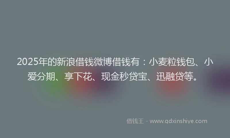 2025年的新浪借钱微博借钱有：小麦粒钱包、小爱分期、享下花、现金秒贷宝、迅融贷等。