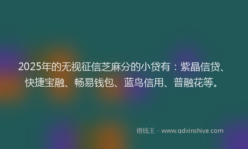 2025年的无视征信芝麻分的小贷有：紫晶信贷、快捷宝融、畅易钱包、蓝鸟信用、普融花等。
