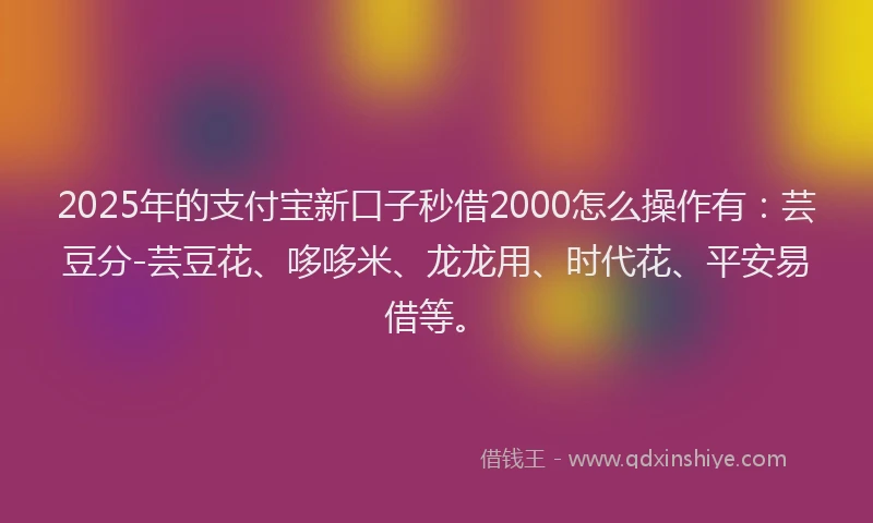2025年的支付宝新口子秒借2000怎么操作有：芸豆分-芸豆花、哆哆米、龙龙用、时代花、平安易借等。