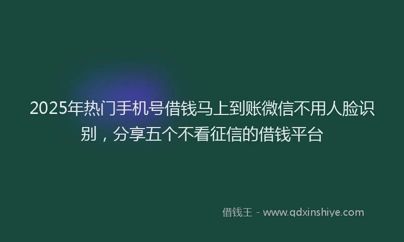 2025年热门手机号借钱马上到账微信不用人脸识别，分享五个不看征信的借钱平台