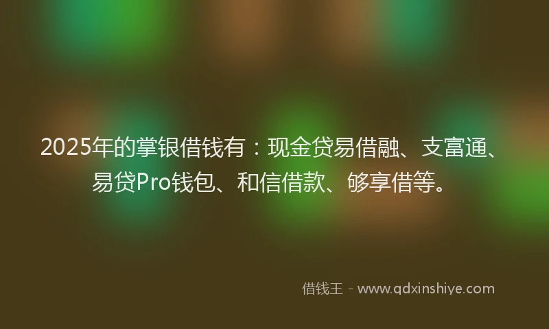 2025年的掌银借钱有：现金贷易借融、支富通、易贷Pro钱包、和信借款、够享借等。