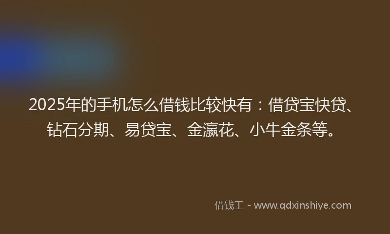 2025年的手机怎么借钱比较快有：借贷宝快贷、钻石分期、易贷宝、金瀛花、小牛金条等。