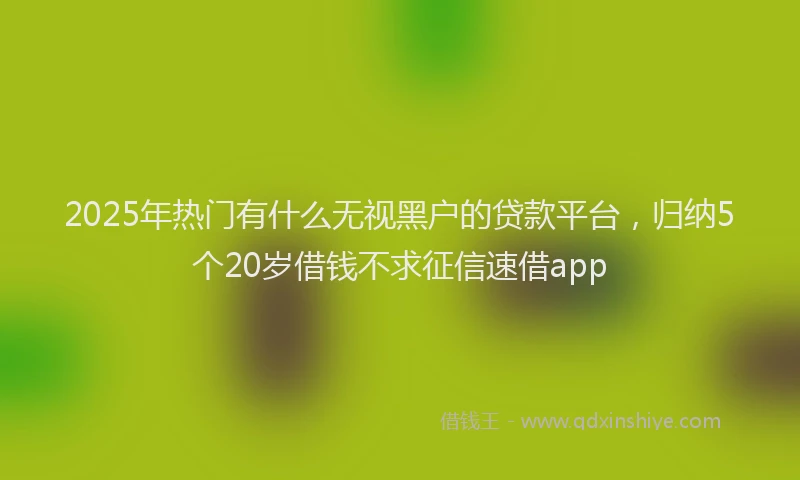 2025年热门有什么无视黑户的贷款平台，归纳5个20岁借钱不求征信速借app