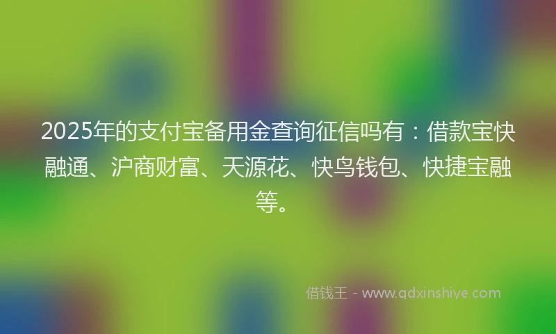 2025年的支付宝备用金查询征信吗有：借款宝快融通、沪商财富、天源花、快鸟钱包、快捷宝融等。