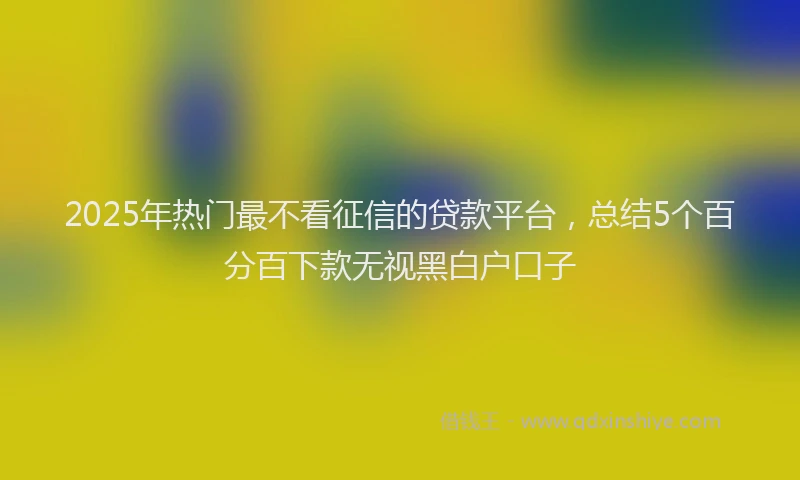 2025年热门最不看征信的贷款平台，总结5个百分百下款无视黑白户口子