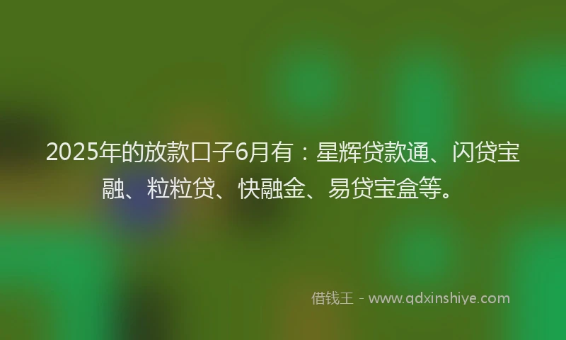 2025年的放款口子6月有：星辉贷款通、闪贷宝融、粒粒贷、快融金、易贷宝盒等。